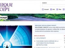 Holistique Concept